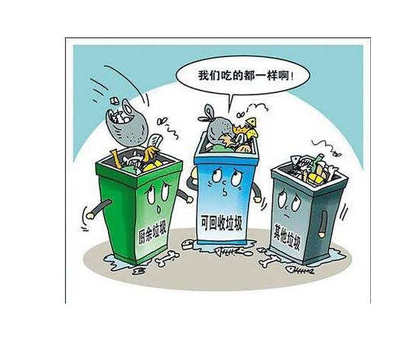 构建高效城市生活垃圾分类管理体系 策略与实践