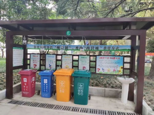 绿色采荷 市城管委调研街道垃圾分类工作，深化城市生活垃圾治理新篇章