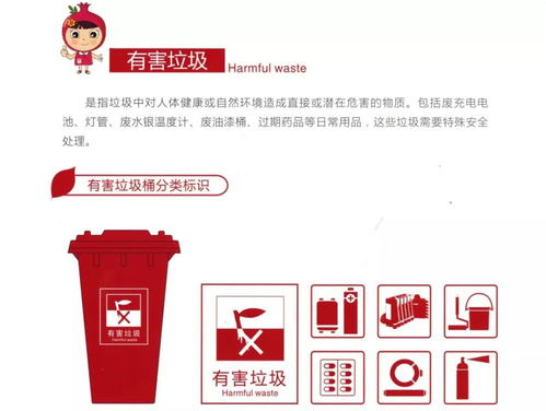西安市垃圾分类最强攻略，你学会了吗？