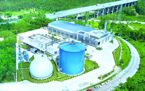 江门市区餐厨垃圾收运处置机制详解 新闻发布会全回顾