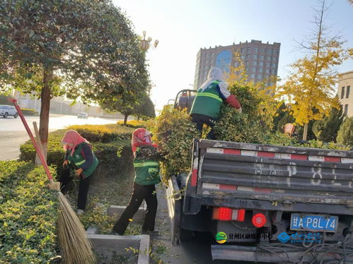 甘州区园林绿化中心秋季修剪与生活垃圾管理并行，提升城市环境品质